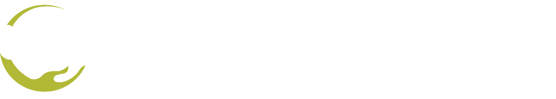 Mobility Express Patient Transport Services LLC